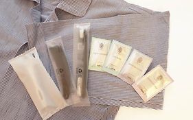 โทโยโกะ อินน์ ฟูจิ คาวางุชิโกะ โอฮาชิ